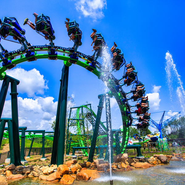 Roller Coaster